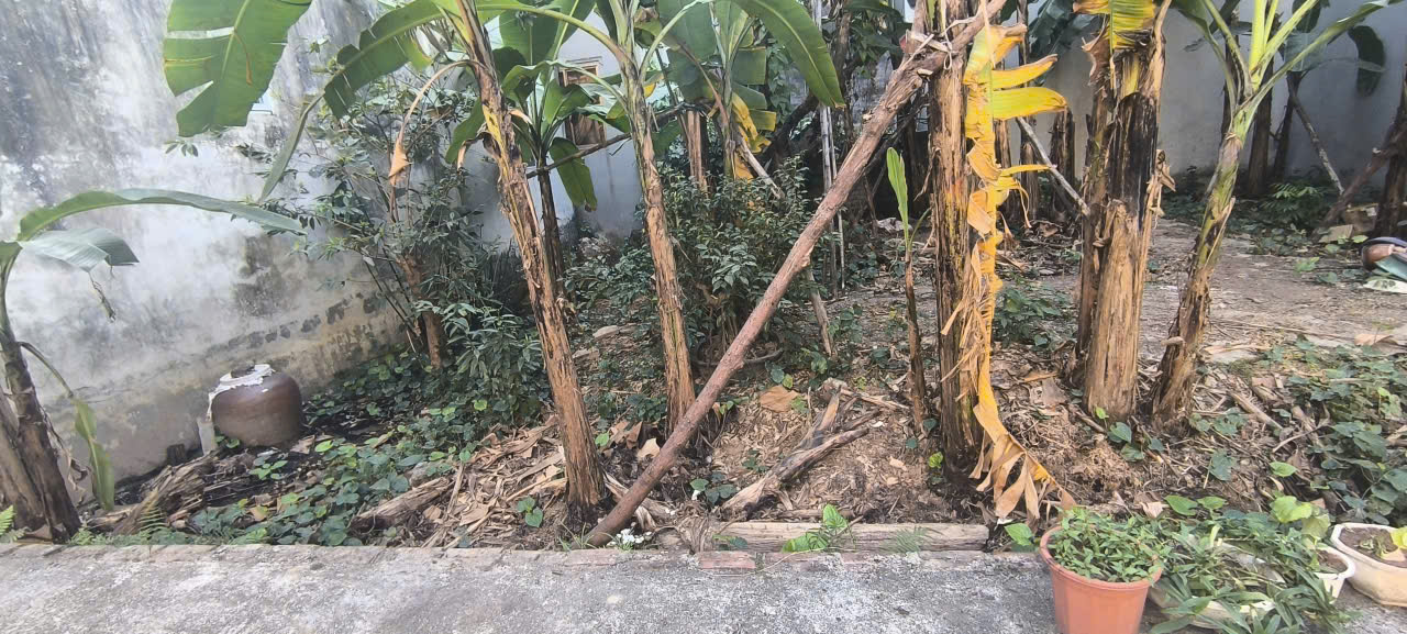 ĐẤT rẻ nhất HÀ ĐÔNG