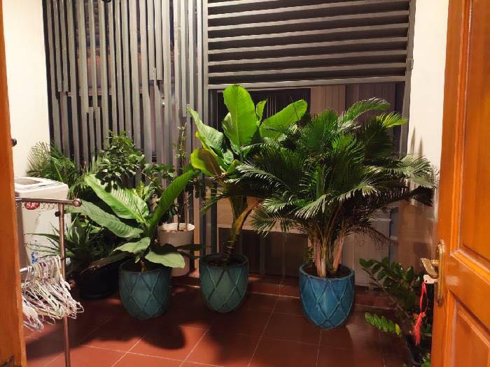 Bán Nhà Đường Hiệp Nhất , Tân Bình HCM