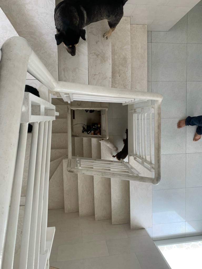 Phú Thọ Hòa, giá hạt dẻ chỉ 6 hạt thương lượng chính chủ, 56m2 bao ra sổ, 4 tAnh