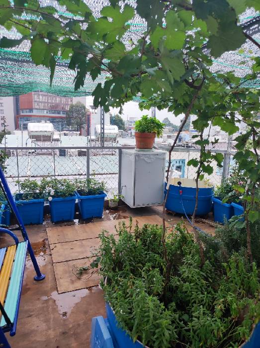 BÁN NHÀ LÊ LAI GÒ VẤP GIÁ TỐT XIN MỜI