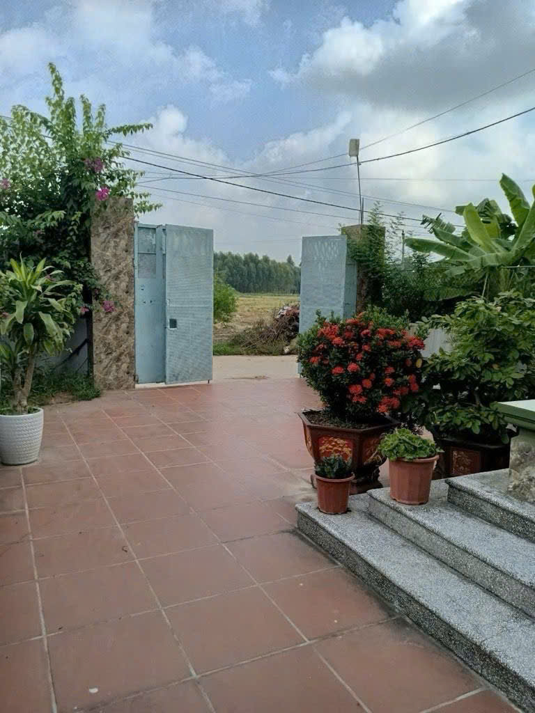 Bán nhà 3 tầng Xuân Long, Tân Dân, Kim Anh - 264m - đường bìa làng 8m - 5,8 tỷ