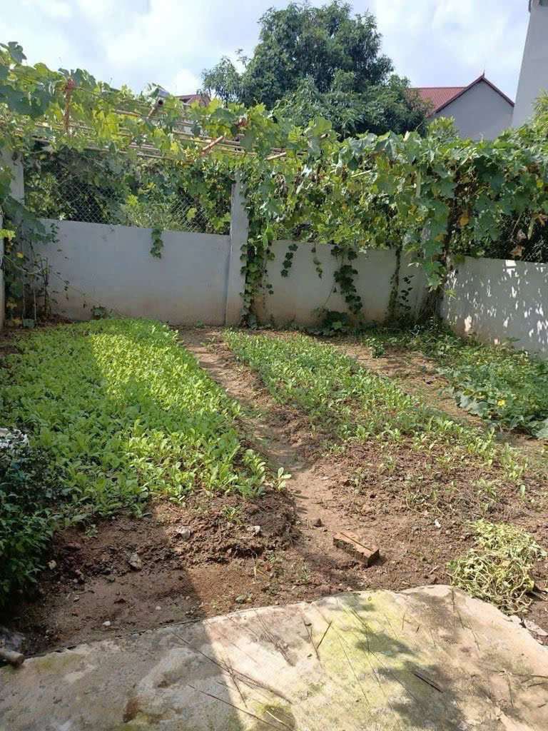 Bán nhà 3 tầng Xuân Long, Tân Dân, Kim Anh - 264m - đường bìa làng 8m - 5,8 tỷ