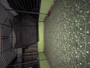 ĐÔNG THIÊN-HIẾM - MẶT TIỀN RỘNG RÃI - TẶNG FULL NỘI THẤT