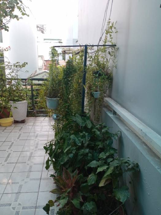 [TÂN PHÚ - ĐỖ THỪA LUÔNG] BÁN NHÀ 3 TẦNG, 64M2, HẺM Ô TÔ, GIÁ CHỈ 6.3 TỶ