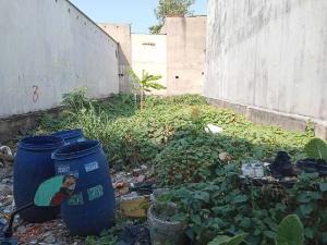 BÁN GẤP LÔ ĐẤT ĐẸP GẦN LÒ LU - TRƯỜNG THẠNH, TP. THỦ ĐỨC