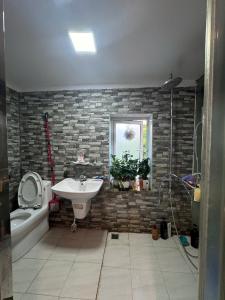 EM CẦN TIỀN GẤP ĐỂ ĐƯA NYC ĐI CHƠI