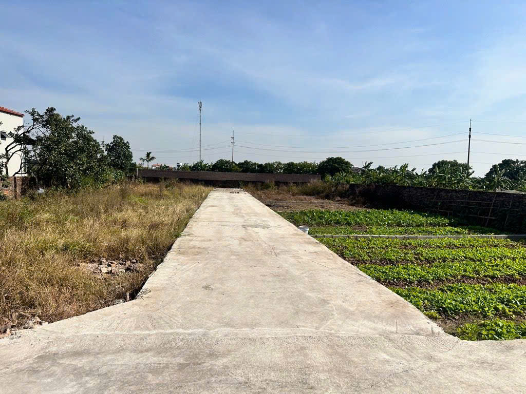 NHỈNH 1 TỶ SỞ HỮU NGÀY THỬA ĐẤT RỘNG VUÔNG VẮN