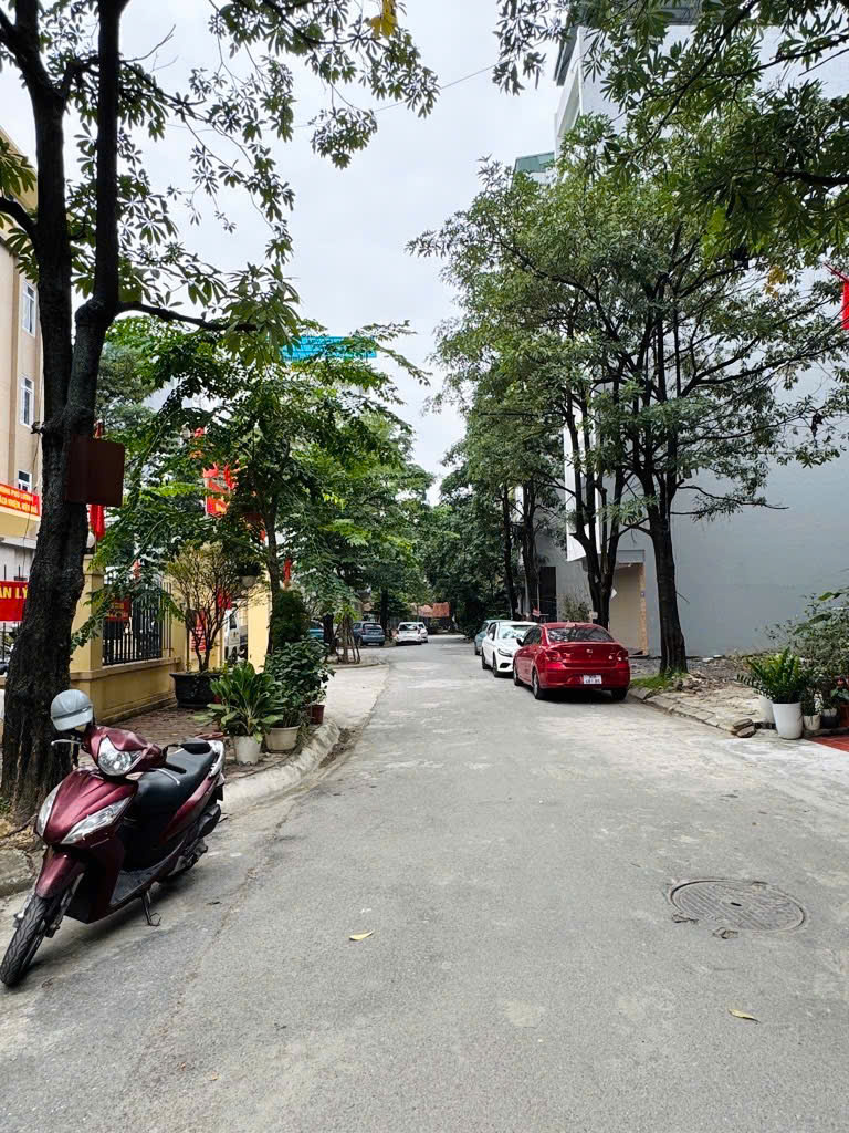 Man bồi 50m2 7 tầng ô tô 14.x tỷ, dòng tiền