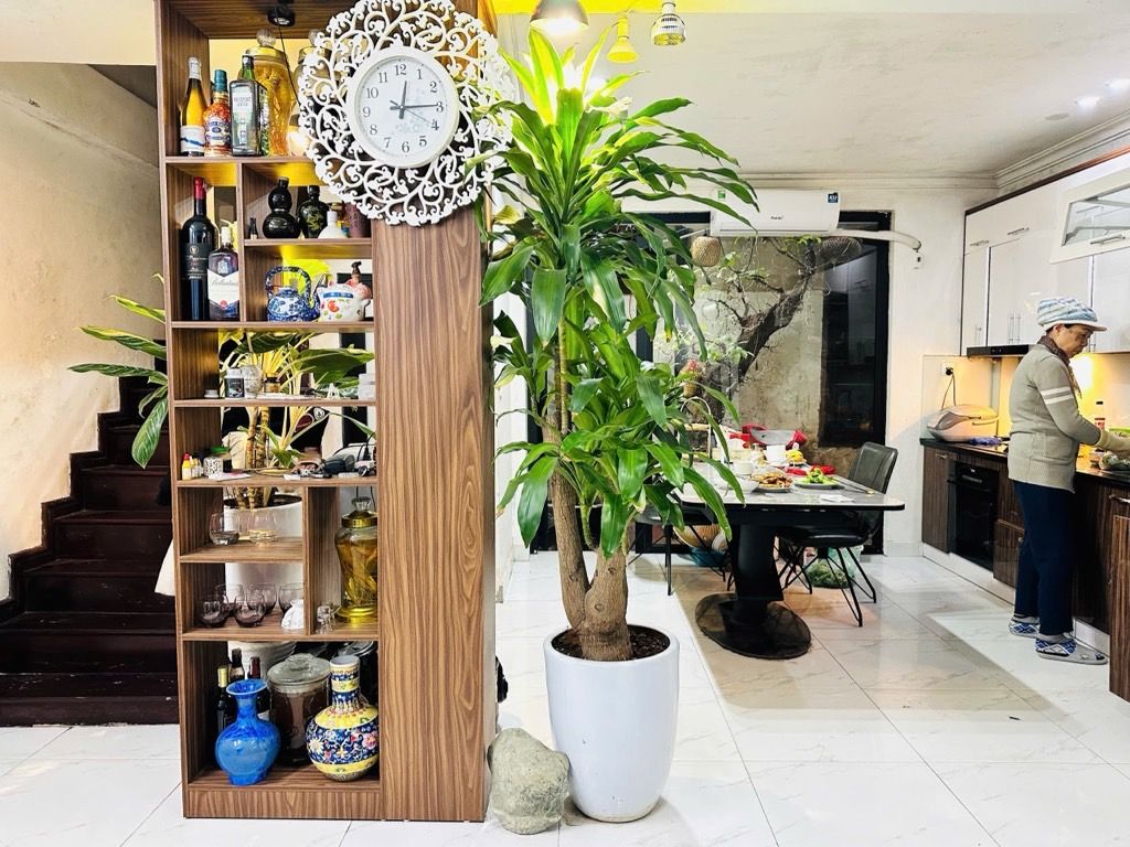 CỰC PHẨM BA ĐÌNH - 2 MẶT NGÕ, NGÕ THÔNG - KINH DOANH ĐẮC ĐỊA