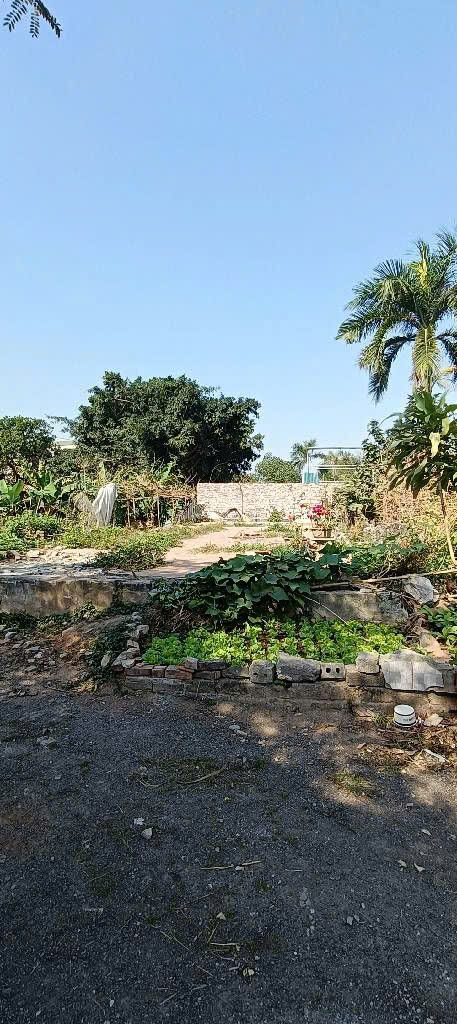 Bán đất giá cực mềm tại Ngũ Hiệp 170m2 mà có hơn 3 Tỉ. Ô tô vào tận đất.