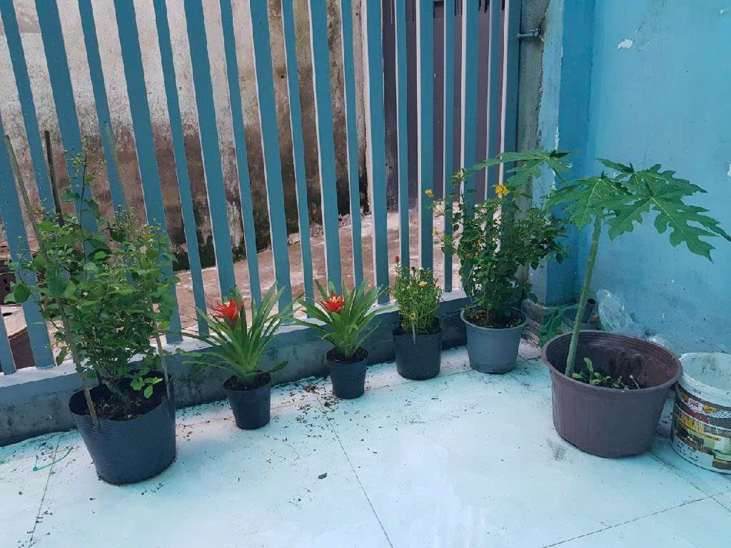 BÁN NHÀ CÔ GIANG QUẬN 1 - 7TỶ