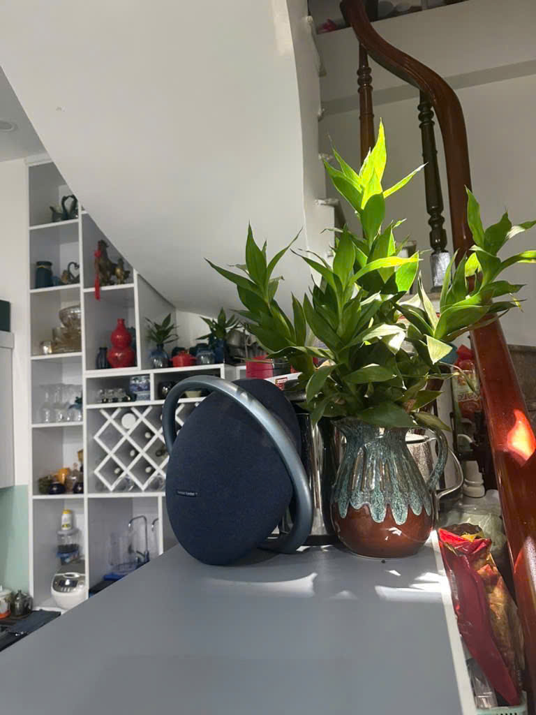 CỰC PHẨM NHÀ MỚI, LÔ GÓC, GẦN NGAY MẶT PHỐ HỒ TÙNG MẬU, GIÁ ĐẦU 8