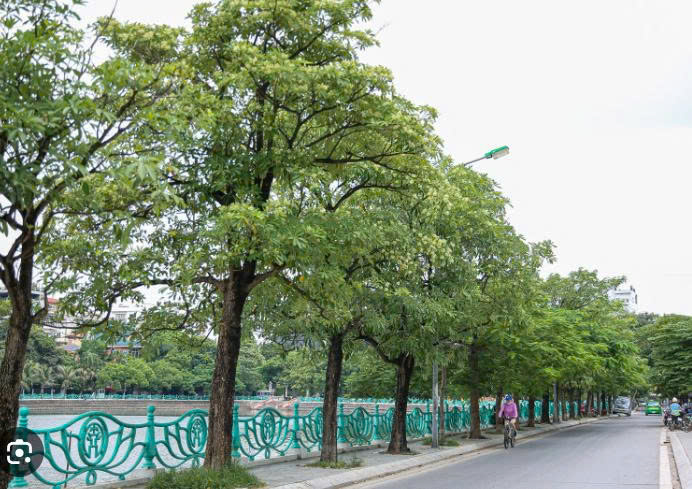 BÁN GẤP NHÀ GẦN Ô TÔ - Ở ĐƯỜNG MỸ ĐÌNH GẦN BẾN XE MỸ ĐÌNH & SÂN VẬN ĐỘNG MỸ ĐÌNH - 45M2 GIÁ 9 TỶ