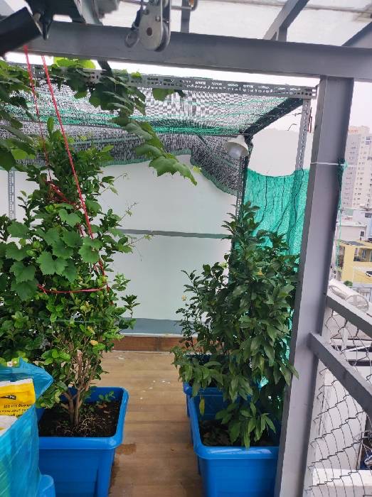 Nhà đẹp đường Lê Lai, phường Hạnh Thông Gò vấp, Kinh doanh 14 phòng trọ