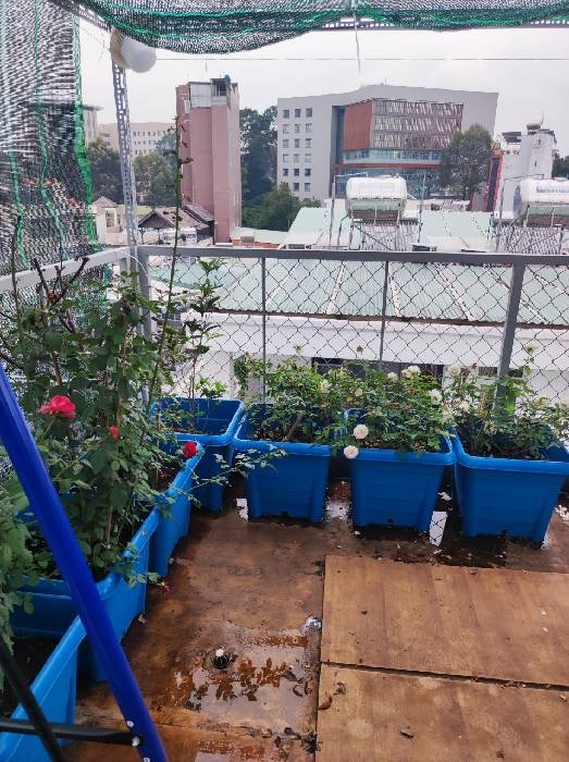 Nhà đẹp đường Lê Lai, phường Hạnh Thông Gò vấp, Kinh doanh 14 phòng trọ