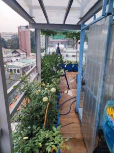 Nhà đẹp đường Lê Lai, phường Hạnh Thông Gò vấp, Kinh doanh 14 phòng trọ