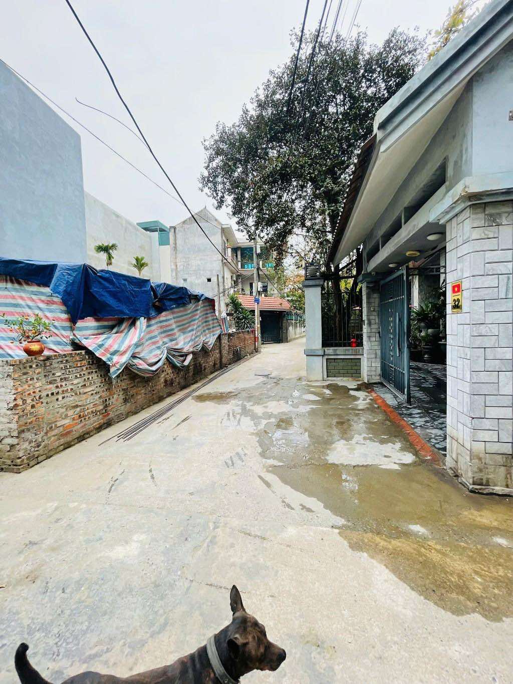 Mai Thị Bích Huệ