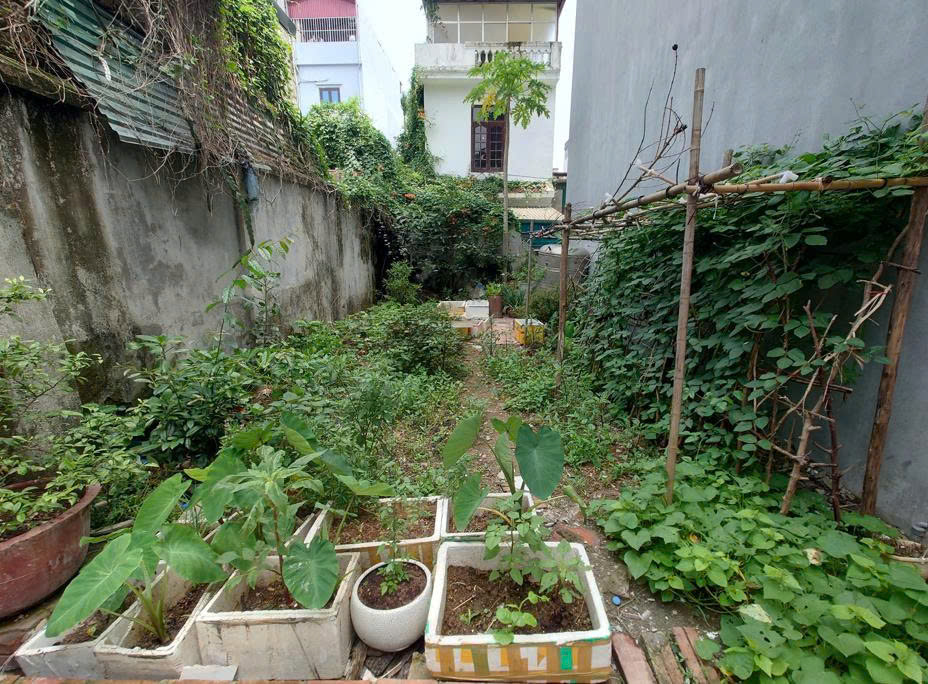 MẢNH ĐẤT ĐẸP THANH TRÌ, Ô TÔ ĐỖ CỔNG, NỞ HÂU NHẸ 40M2 GIÁ 3,38 TỶ