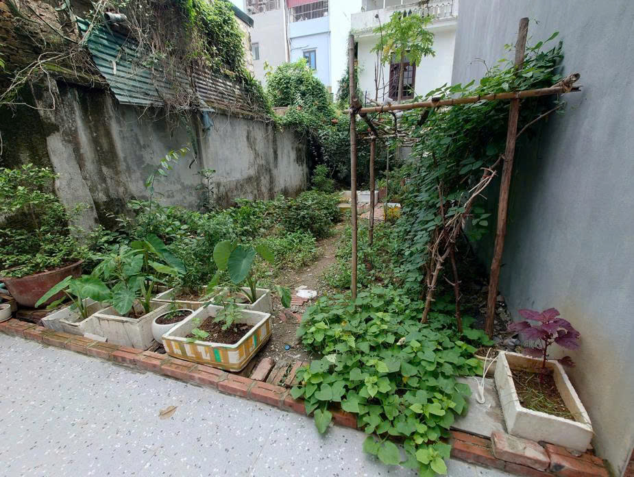 MẢNH ĐẤT ĐẸP THANH TRÌ, Ô TÔ ĐỖ CỔNG, NỞ HÂU NHẸ 40M2 GIÁ 3,38 TỶ