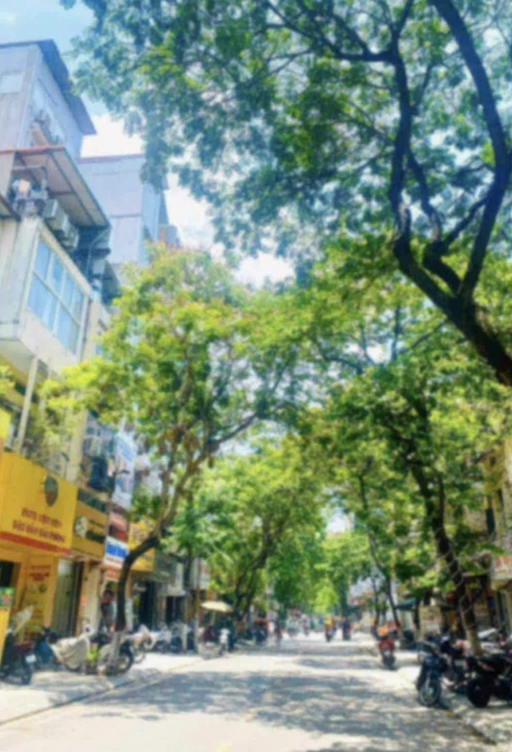 BÁN GẤP NHÀ ĐỘI CẤN TT BA ĐÌNH KD Ô TÔ 112M X 5 TẦNG MT 16M 43 TỶ