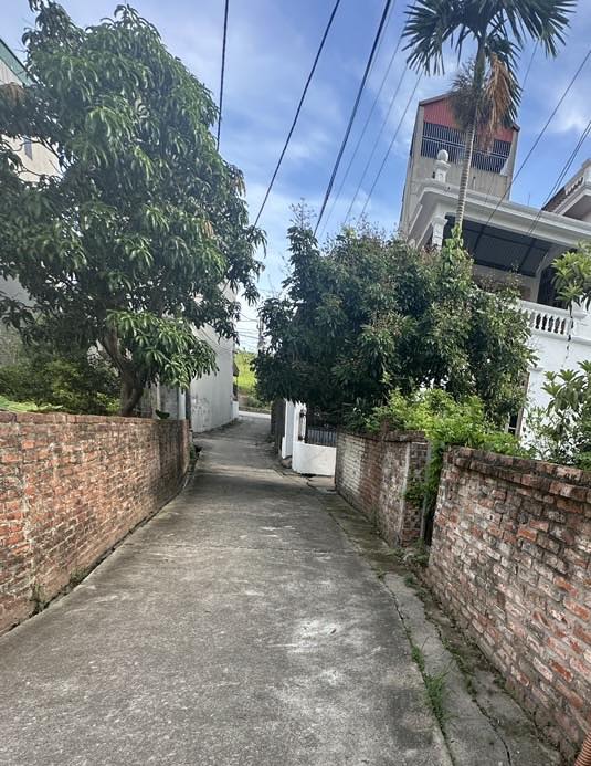 Bán đất Đông Dư 39m MT 3,9m - Phân Lô Vuông Đẹp Giá nhỉnh 3tỷ
