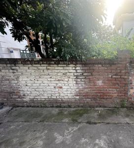 Bán đất Đông Dư 39m MT 3,9m - Phân Lô Vuông Đẹp Giá nhỉnh 3tỷ