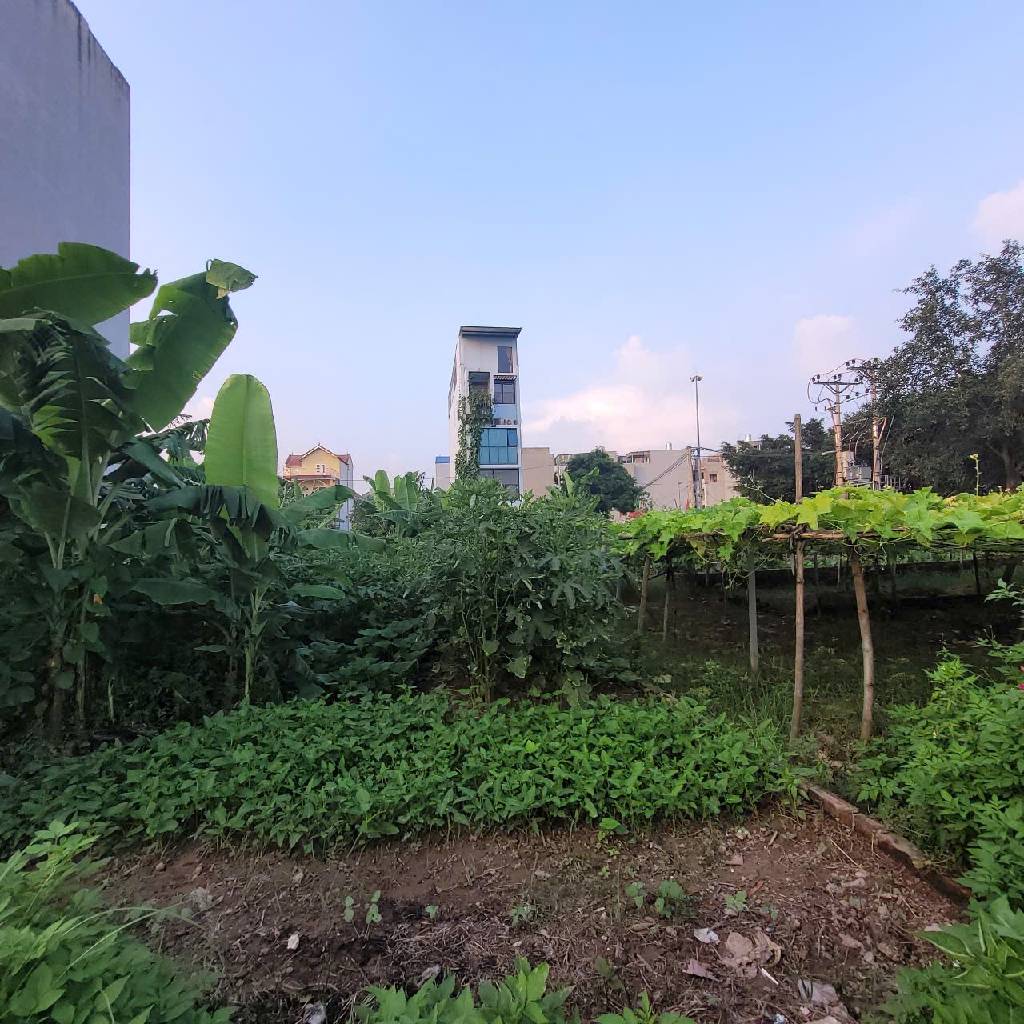 Bán đất yên nghĩa hà đông 84m2. 5,7 tỉ