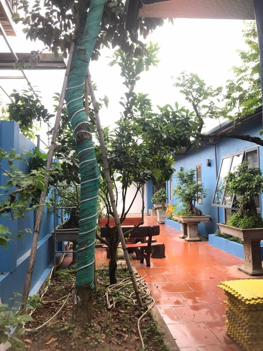 Bán đất tặng nhà đông la hoài đức 516m2. 10,5 tỉ