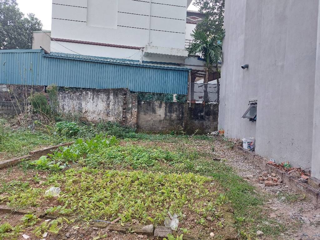 Bán đất phụng châu chương mỹ 67m2. 4,7 tỉ