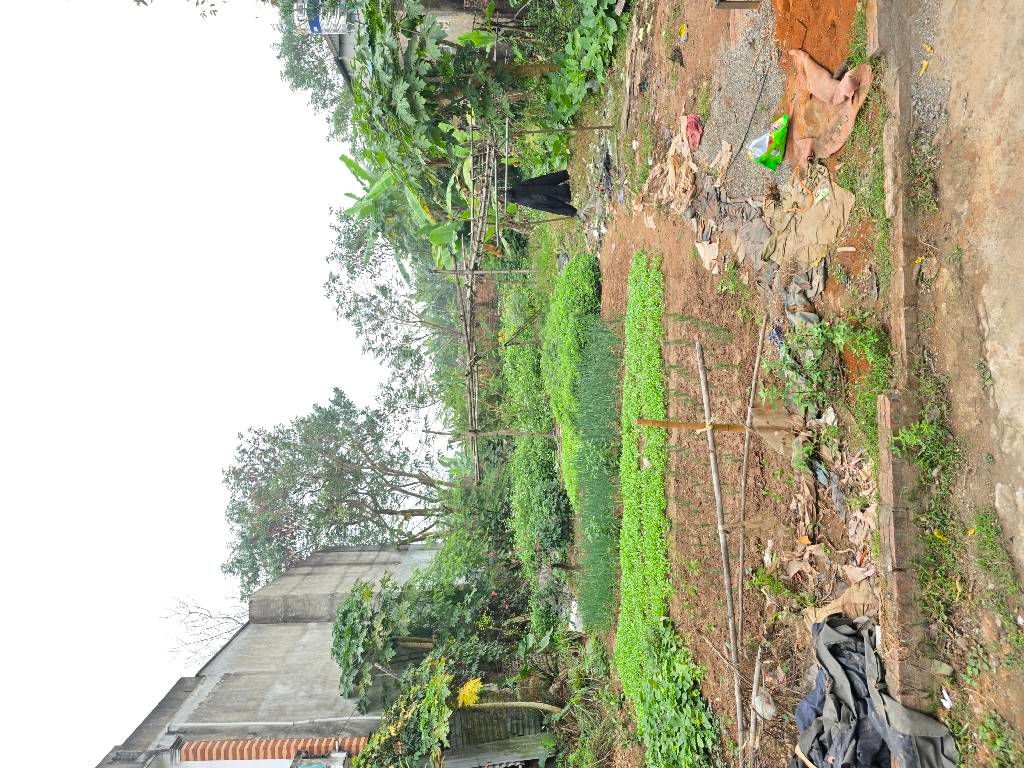 Bán đất đồng mai hà đông 277m2. 7 tỉ