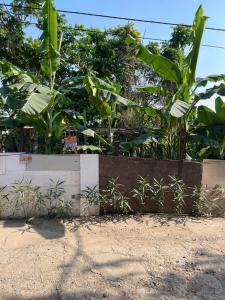 Bán đất an thượng hoài đức 2606m2. 13,2 tỉ
