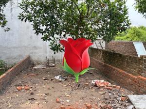 Bán đất vân côn hoài đức 51m2. 3,75 tỉ