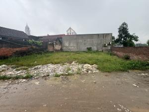 Bán đất la tinh đông la 185m2.  17,1 tỉ