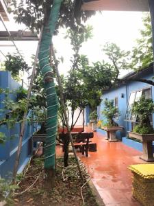 Bán đất tặng nhà đông la hoài đức 516m2. 10,5 tỉ