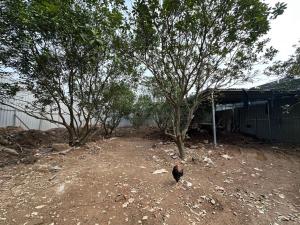 Bán đất đông la hoài đức 283m2.  1,25 tỉ