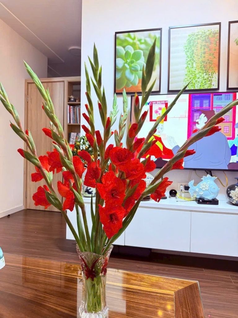 Bán chung cư Westbay - 56 m2 - 2N 2WC - Nội thất đẹp sẵn về ở - Giá thiện chí