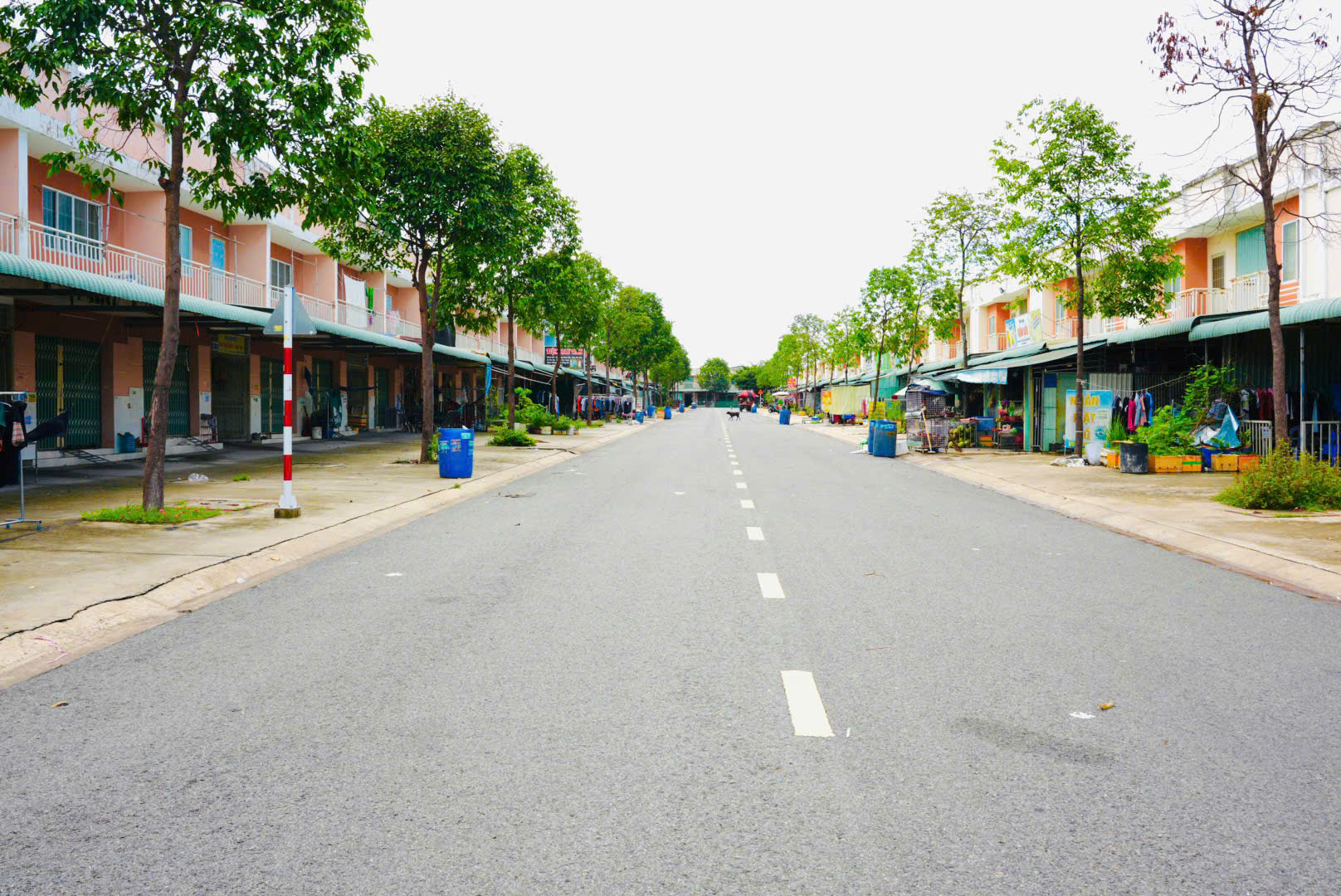 Bán nhà 5x30 có dãy trọ cho thuê, mặt tiền kinh doanh ngay chợ Bàu Bàng - Bình Dương - Tp Hồ Chí