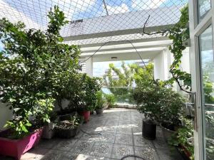 Siêu phẩm chdv Quận Gò Vấp - dòng tiền ổn định - giá tốt hiếm có