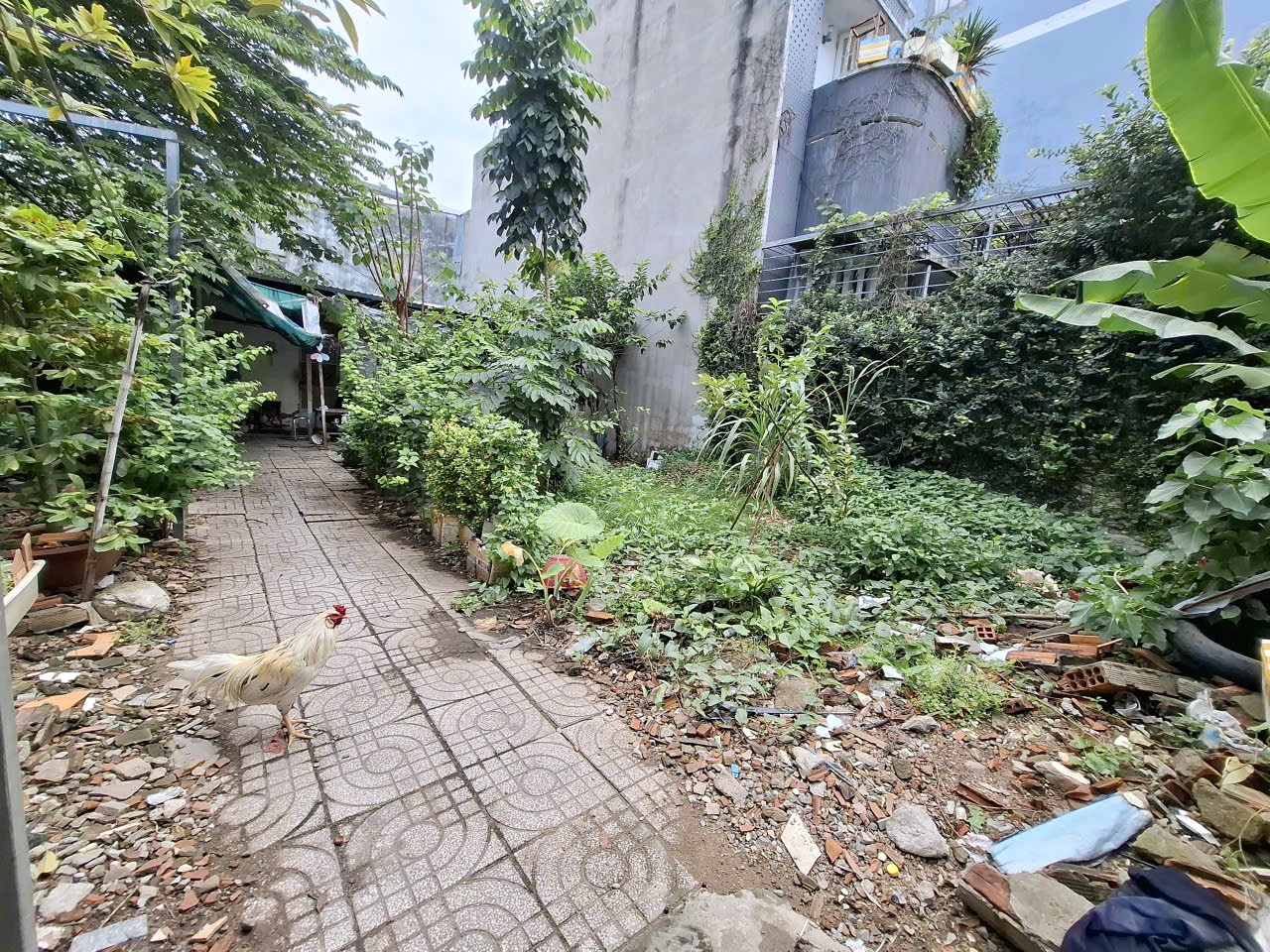 Lô Đất Phú Thuận Quận 7, DT 124M2( 8*17),  Gần Phú Mỹ Hưng,Hẻm Ôtô kế bên,Xây Dựng Tự Do, 8.5 Tỷ