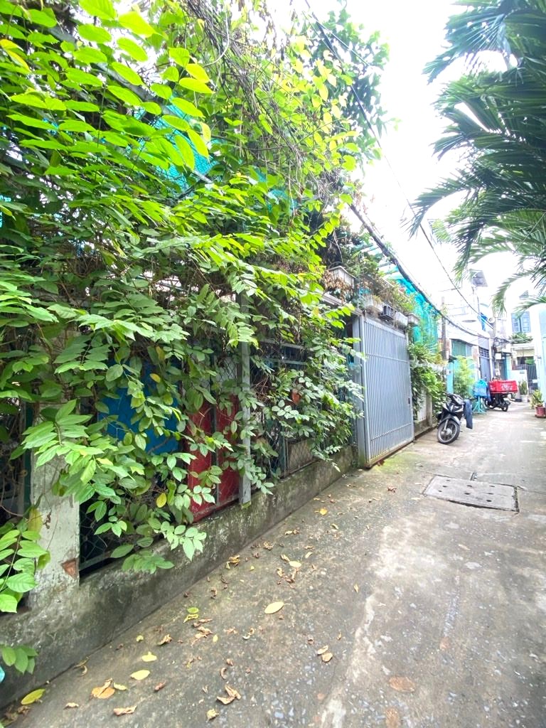 Bán Nhà Cấp 4 Đường Huỳnh Tấn Phát, DT 165m2, Sát Hẻm Ôtô, Cạnh Phú Mỹ Hưng, 8.85 Tỷ