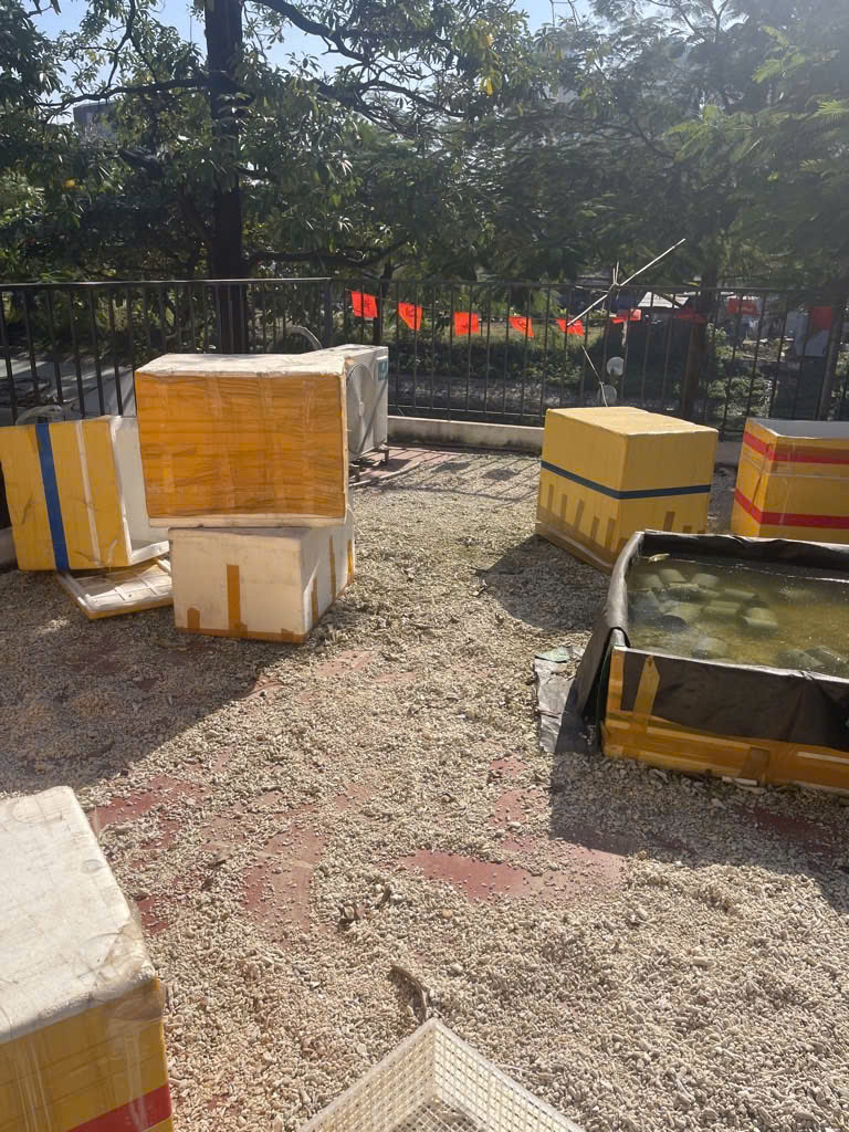 - Bán nhà mặt phố Trần Hòa, Định Công, Hoàng Mai, Siêu đẹp, 68m2, 29 tỷ