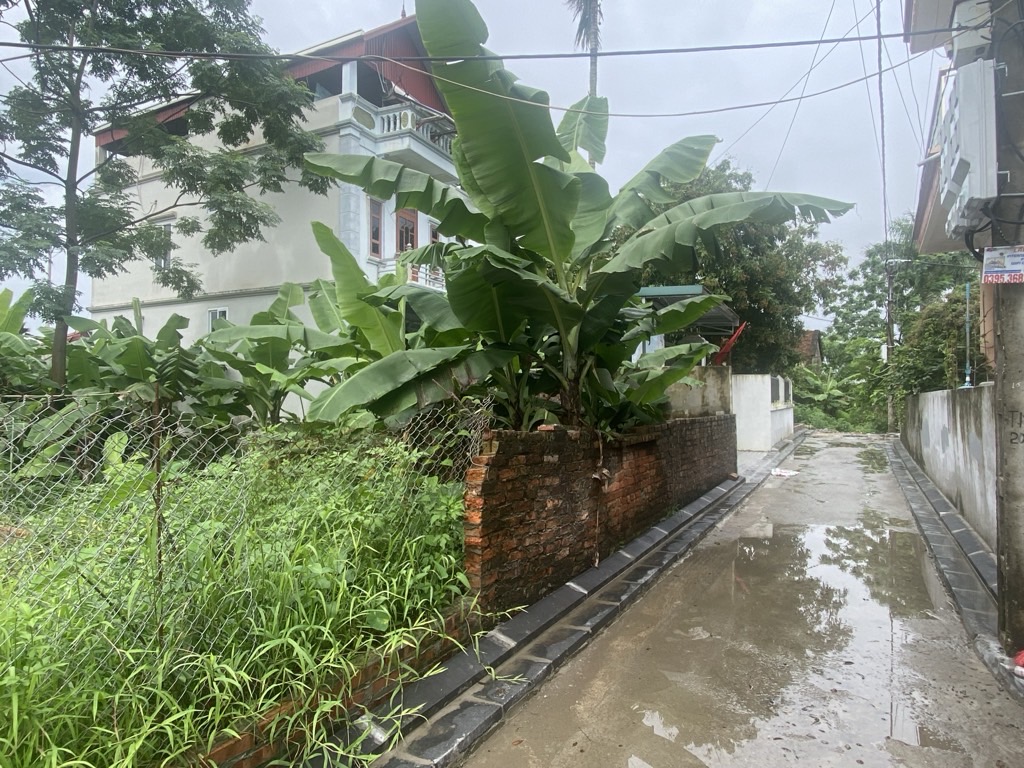 Đất Tằng my Nam Hồng