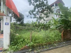 Đất Tằng my Nam Hồng