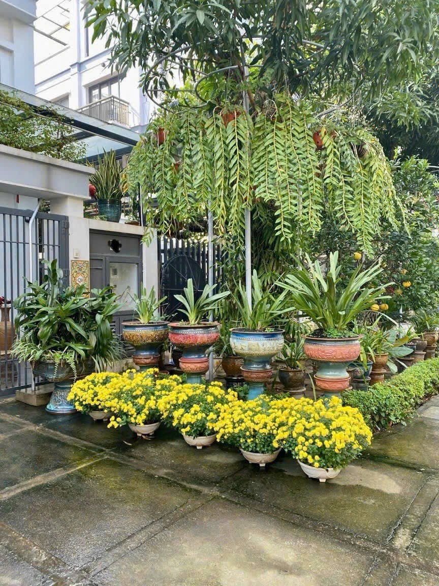 Biệt thự liền kề 135m2, đủ công năng, 46 tỷ