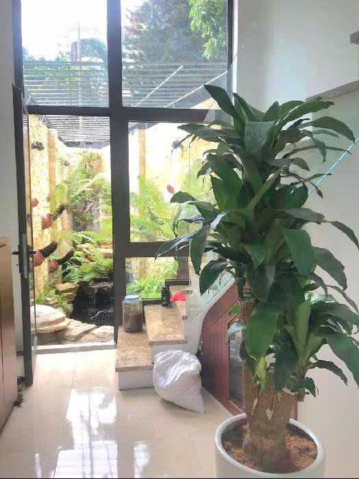 Bán nhà Ngọc Thụy, 39m, 6 tầng, giá chỉ 6.x tỷ.