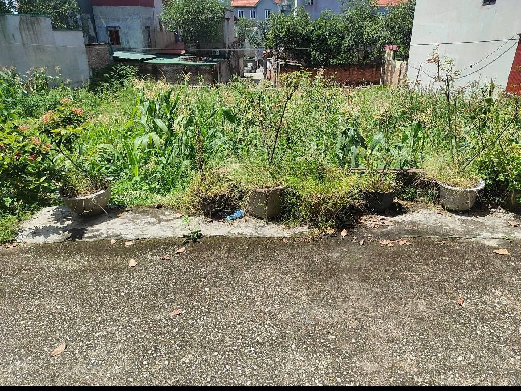 Chỉ với hơn 1 tỷ cho 73m đất tại Phật Tích, Tiên Du, Bắc Ninh. !