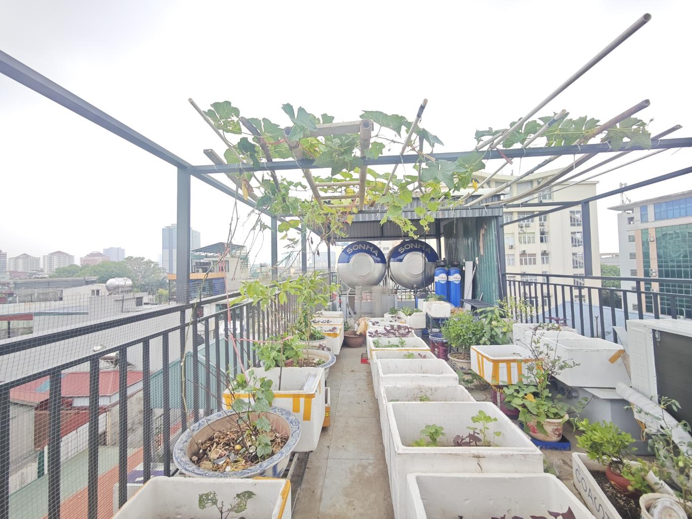 Bán nhà phố Trần Cung, Hoàng Quốc Việt, Phân lô, Oto vào nhà, Thang máy, Nội thất xịn, Kinh doanh, 52m2