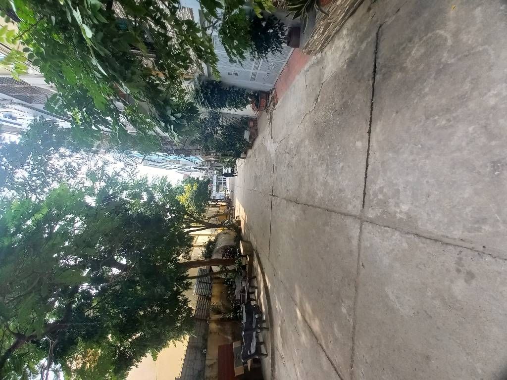 , Viện Quy Hoạch Rừng. Vĩnh Quỳnh 66/100 4 3.7 16 9.2 tỷ Ngọc Hồi