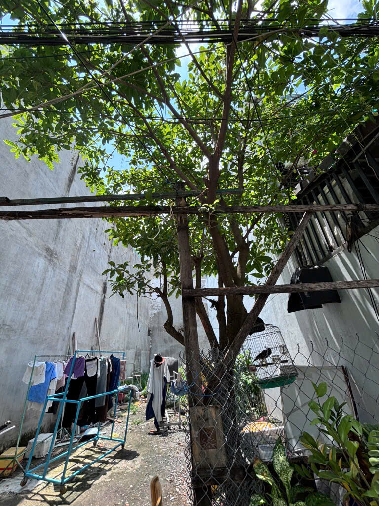 Bán nhà riêng tại Đường Huỳnh Tấn Phát, Quận 7,  Hồ Chí Minh diện tích 83,9m2  giá 5,2 tỷ