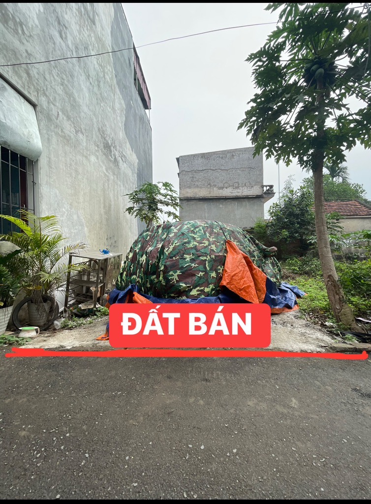 BÁN ĐẤT, THÁI BÌNH, MAI LÂM, ĐÔNG ANH